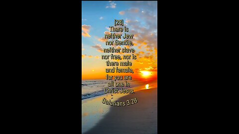 Galatians 3:28 (NIV)