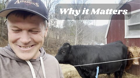 In the End it is the Memories That Matter and Question