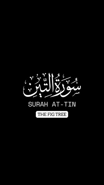 Surah At-Tin | Quran Before Sleep