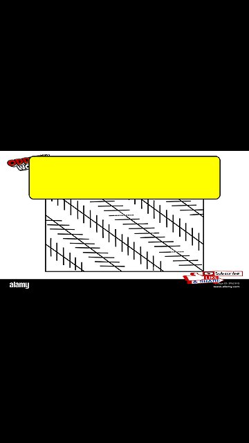 The Straight Lines That Look Tilted! Illusion Explained #OpticalIllusions #Perception