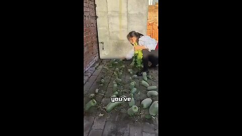 This Woman Grows Vegetables In Brick Cracks!