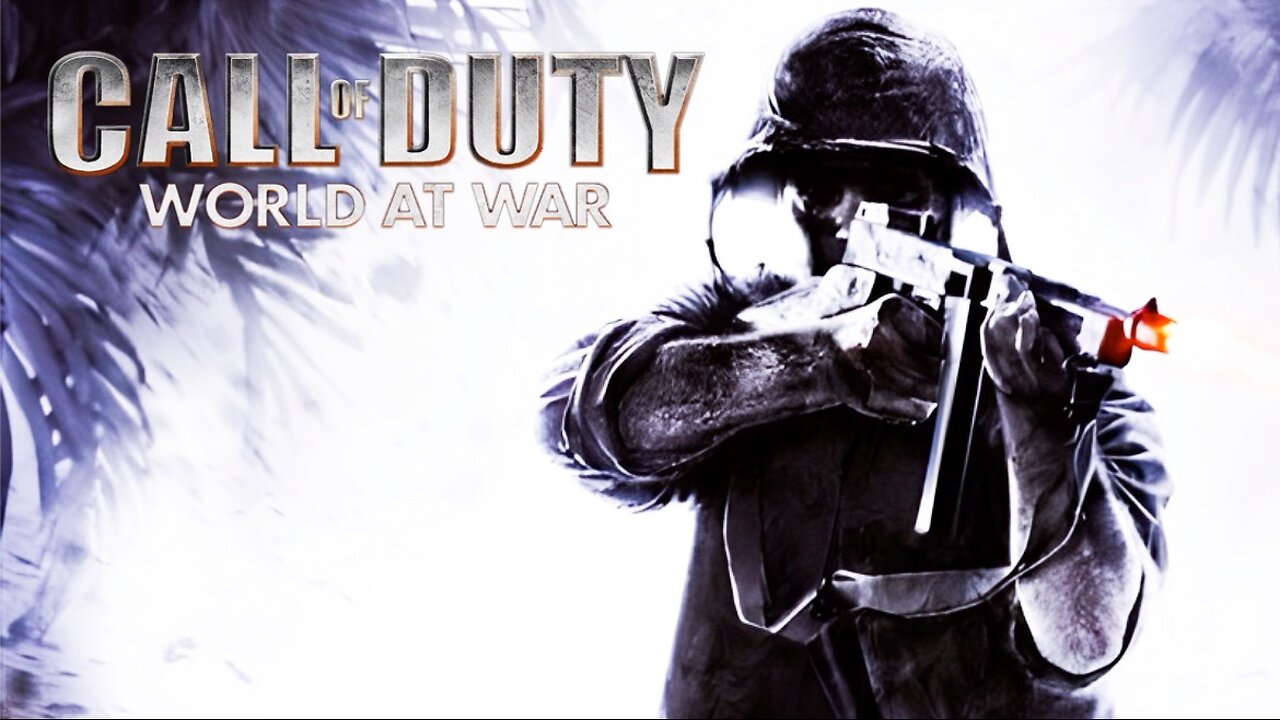 Now This Is Real COD (Call Of Duty: World At War)