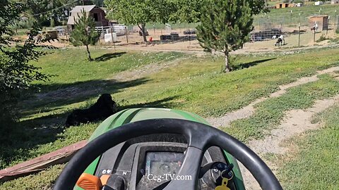 Graham Family Farm NW: Mowing - July 18 2025