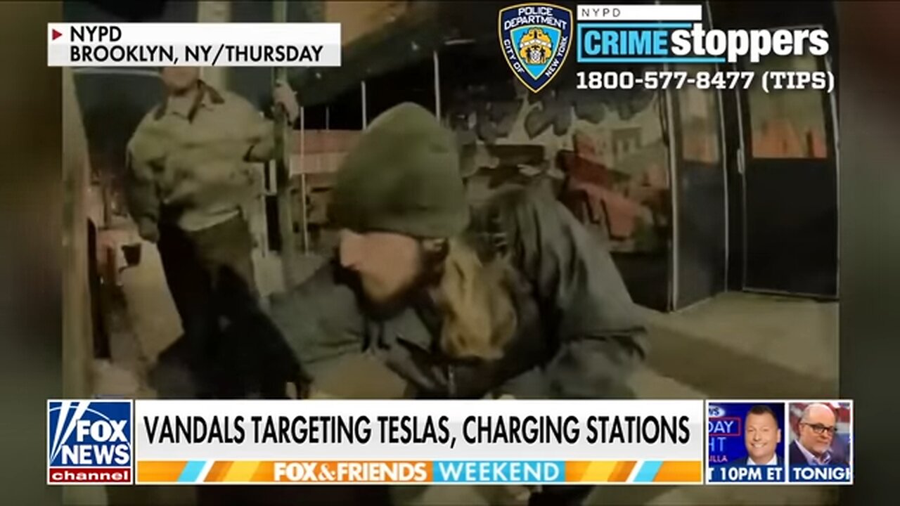 WATCH: Vandals targeting Teslas, charging stations in NYC