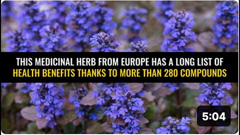 "European Medicinal Herb Boasts Health Benefits with Over 280 Compounds"