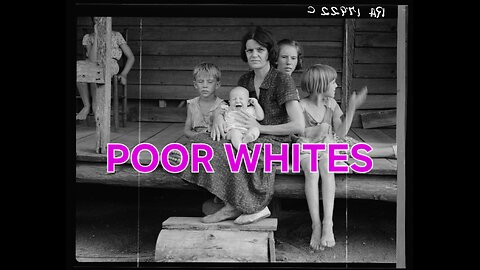 Educational Friday: The True History of White Economics‼️