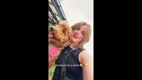 Dog Mom Moments 🐶💖 | Golden Doodle Puppy Love