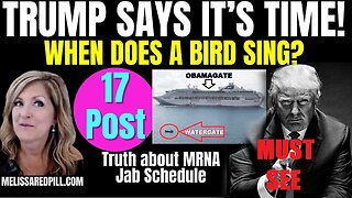 Melissa Redpill Situation Update 07.23.25: "Trump - It's Time! Bird Sing? Obamagate"