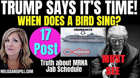 Melissa Redpill Situation Update 07.23.25: "Trump - It's Time! Bird Sing? Obamagate"