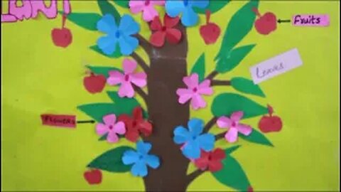 BILAL PUBLIC SCHOOL [ Science Project For #Class III Parts of a Plant ] (Promo)
