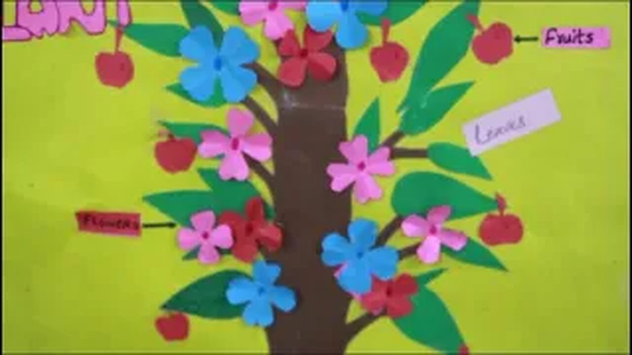 BILAL PUBLIC SCHOOL [ Science Project For #Class III Parts of a Plant ] (Promo)