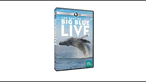 The Best of Big Blue Live (2016 DVD)