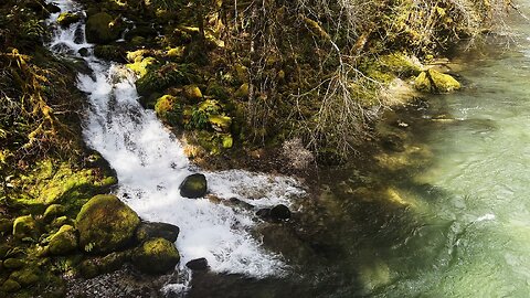 (4K UHD) SILENT PERSPECTIVES @ Fernview Group Campground! | South Santiam River Willamette NF Oregon