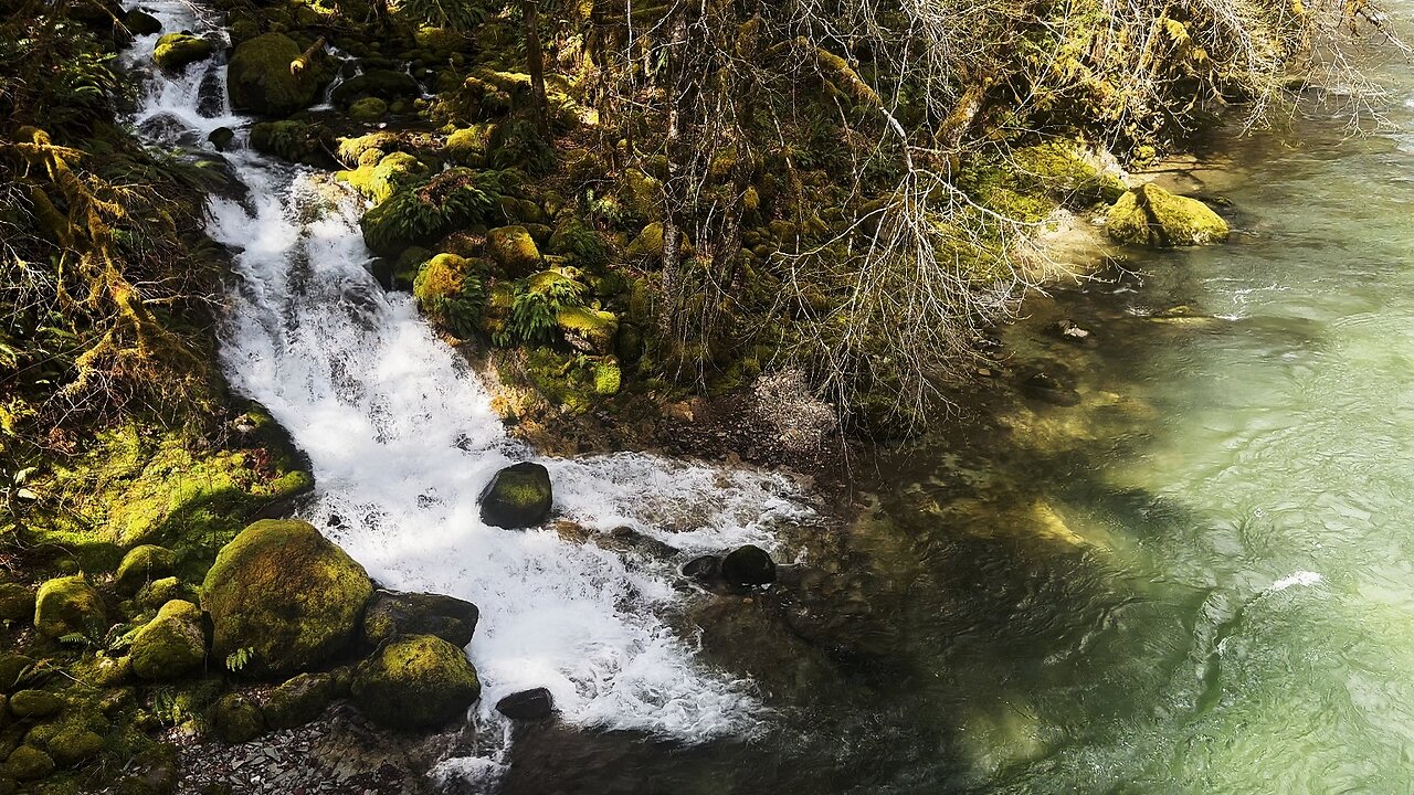 (4K UHD) SILENT PERSPECTIVES @ Fernview Group Campground! | South Santiam River Willamette NF Oregon