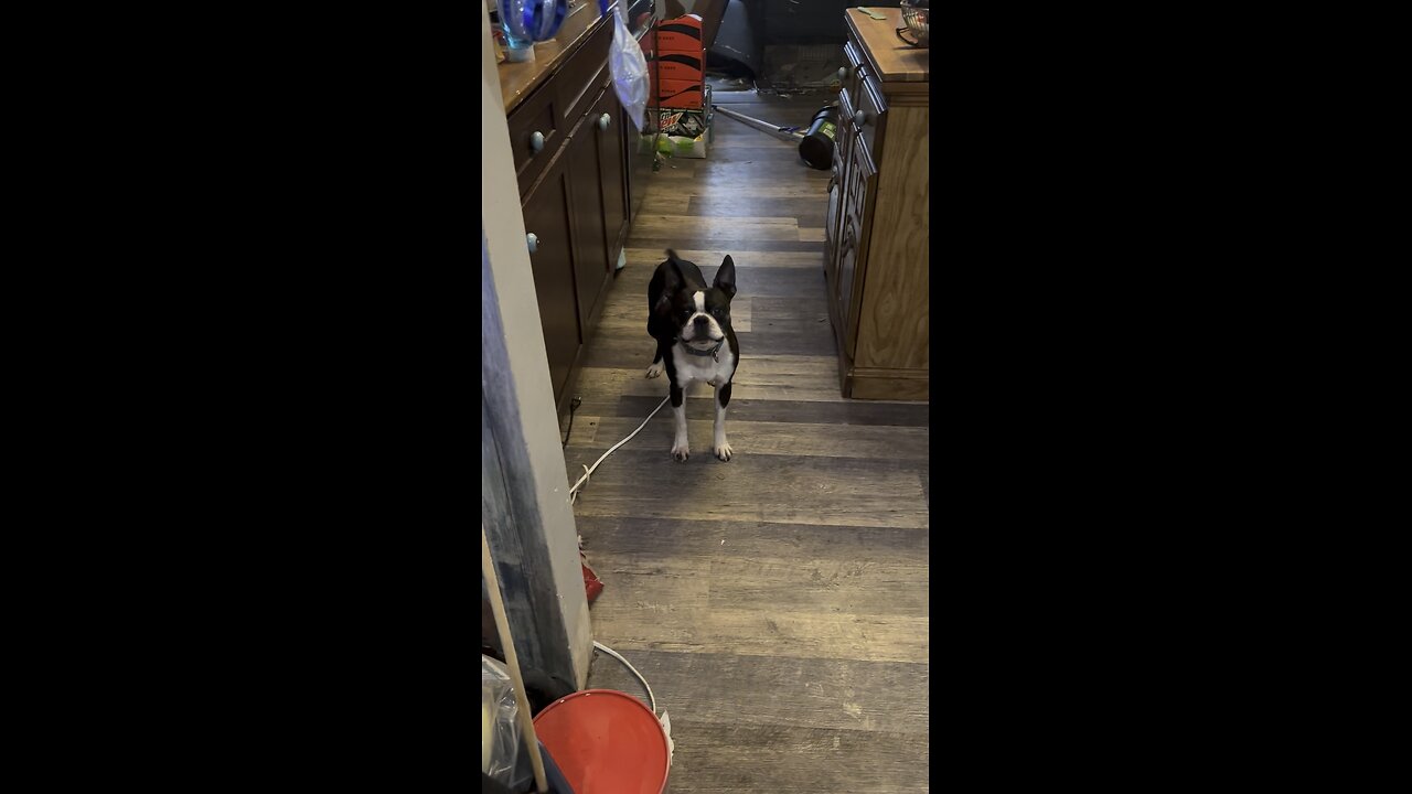 Morning chat with Ozzy