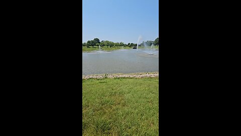 My Peaceful Place - Evolution