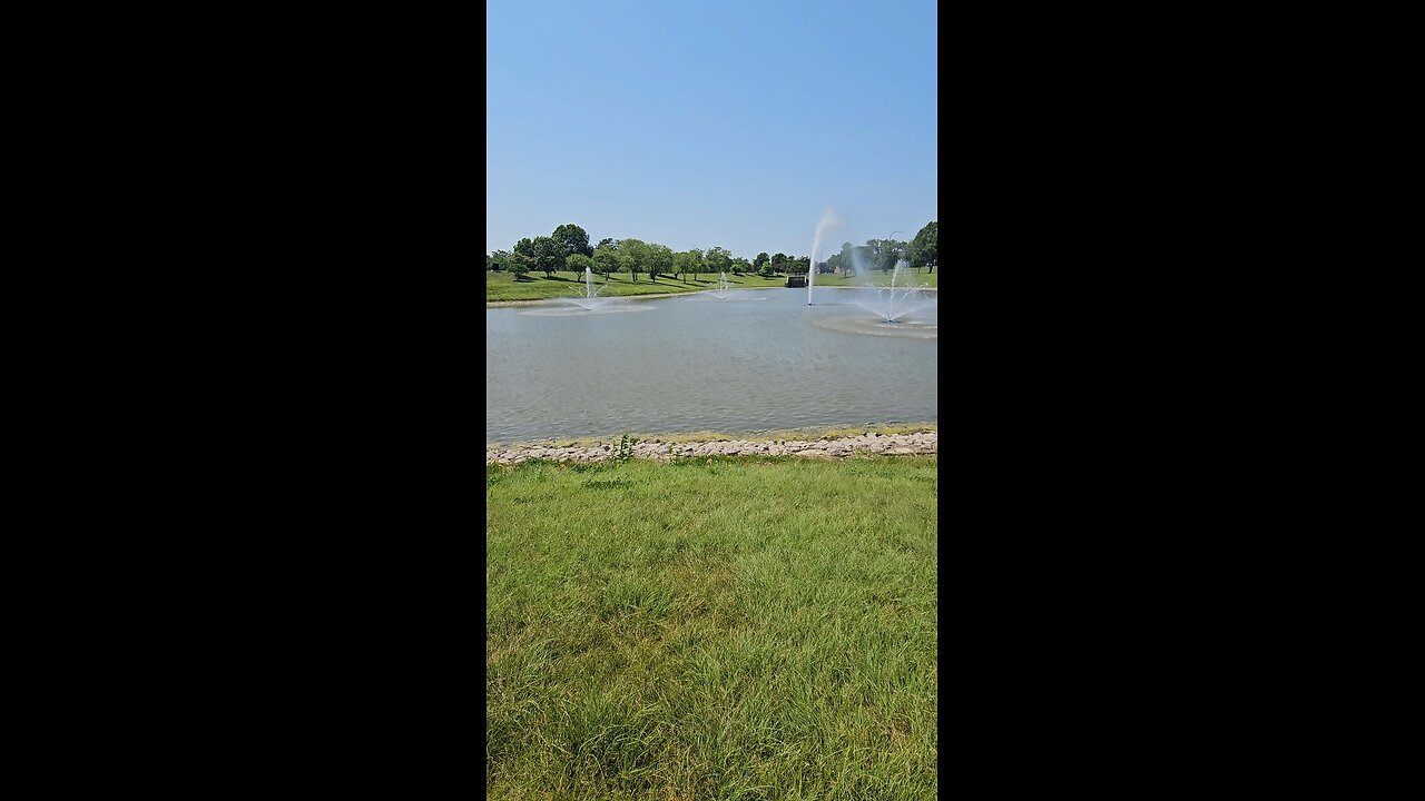 My Peaceful Place - Evolution