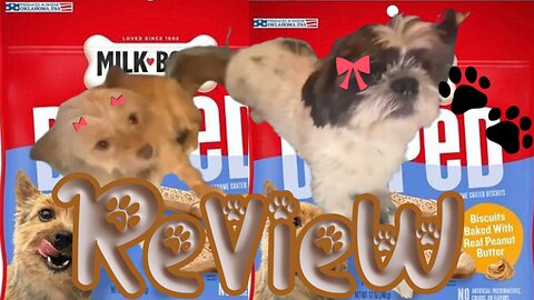Dogs Review Milk Bone Soft & Chewy Peanut Butter Bites