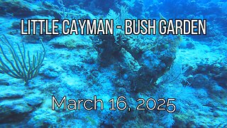 Little Cayman - Bush Garden - March 16, 2025