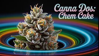 CHEMCAKE GOT ME FLOATIN’ 💨 | STRONG HEAD VIBES FROM CANNA DOS