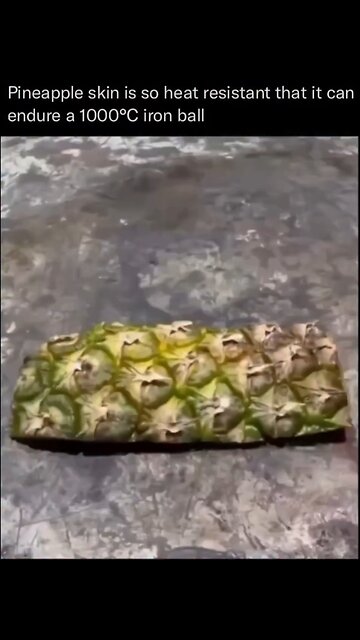 Pineapple Skin Can Survive Extreme Heat Pass a 1000 Degrees