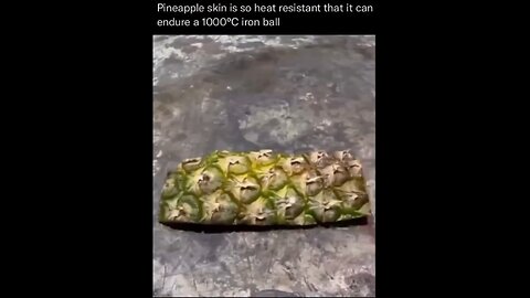 Pineapple Skin Can Survive Extreme Heat Pass a 1000 Degrees