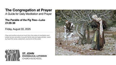 The Parable of the Fig Tree—Luke 21:29-38