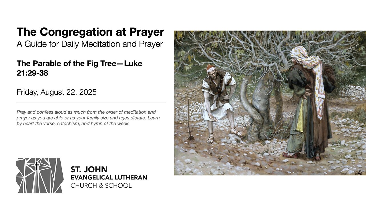 The Parable of the Fig Tree—Luke 21:29-38