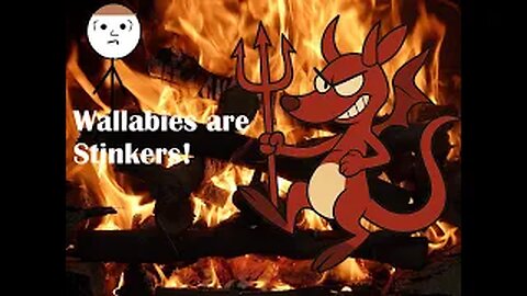 Wallabies Are Stinkers