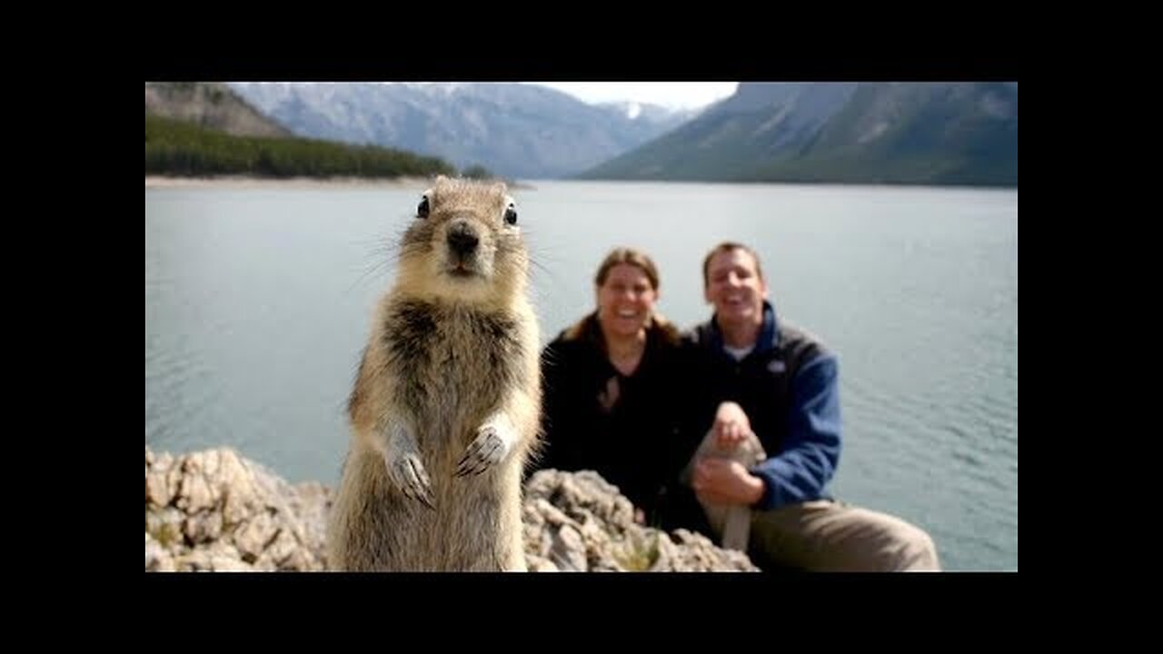 You will LAUGH LIKE a CRAZY PERSON! - Super FUNNY VIDEOS compilation