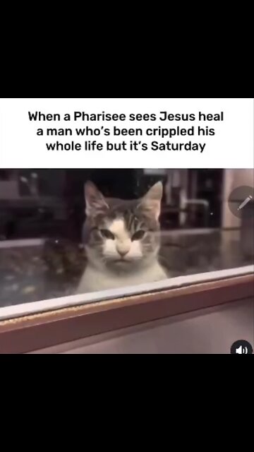 The Tunnell Take. The hate runs deep, even today.