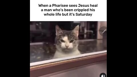 The Tunnell Take. The hate runs deep, even today.