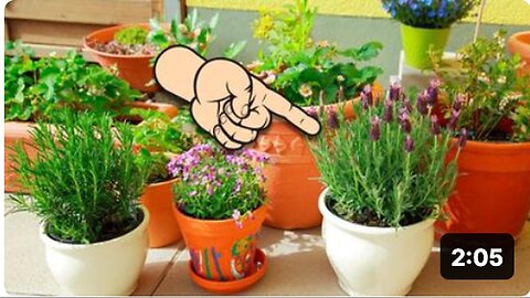 "Five Plants that Purify Air and Detoxify Your Home"
