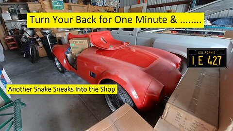 New Mk4 Cobra Project
