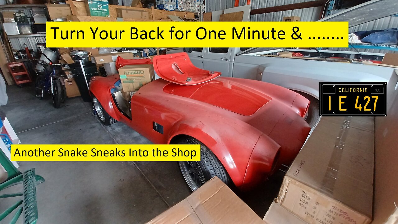 New Mk4 Cobra Project
