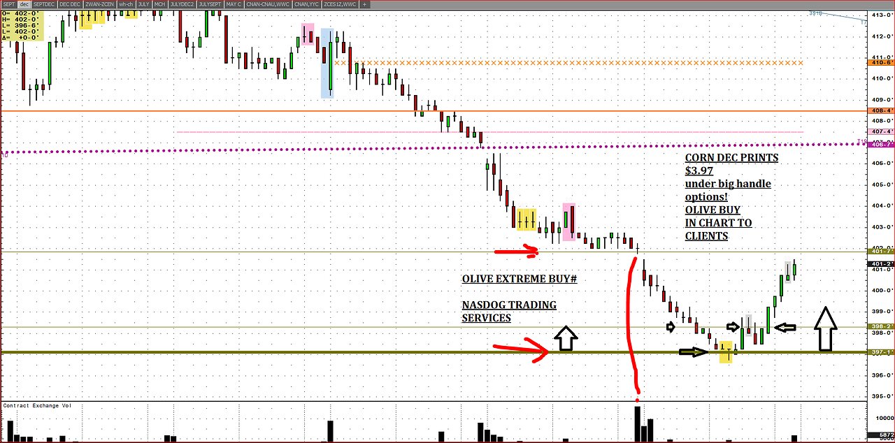 Aug6 Corn Olive buy $397, 20mkts in 12min