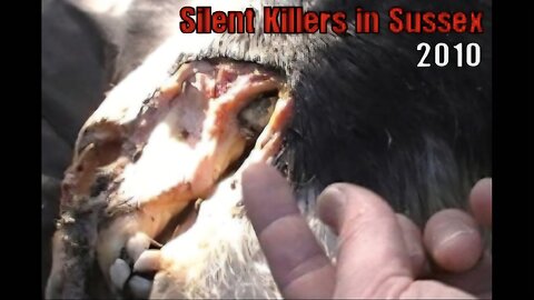 Silent Killers in Sussex (2015) [Richplanet TV Show 197]