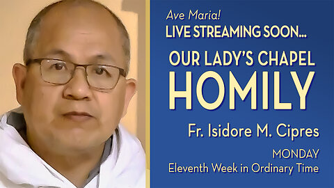 Monday of the Eleventh Week in Ordinary Time - June 16, 2025 - HOMILY