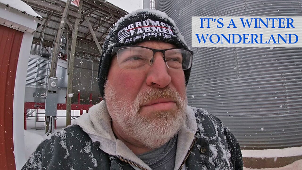 It's a Winter Wonderland