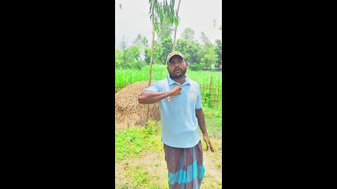 “ক্ষমতার টানাটানি – সুখের খোঁজে জনতা”
