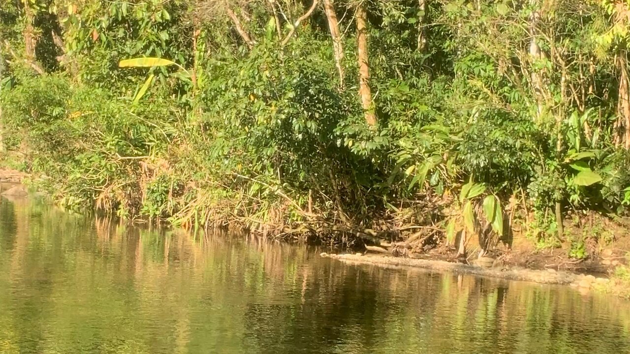 Nature always acts