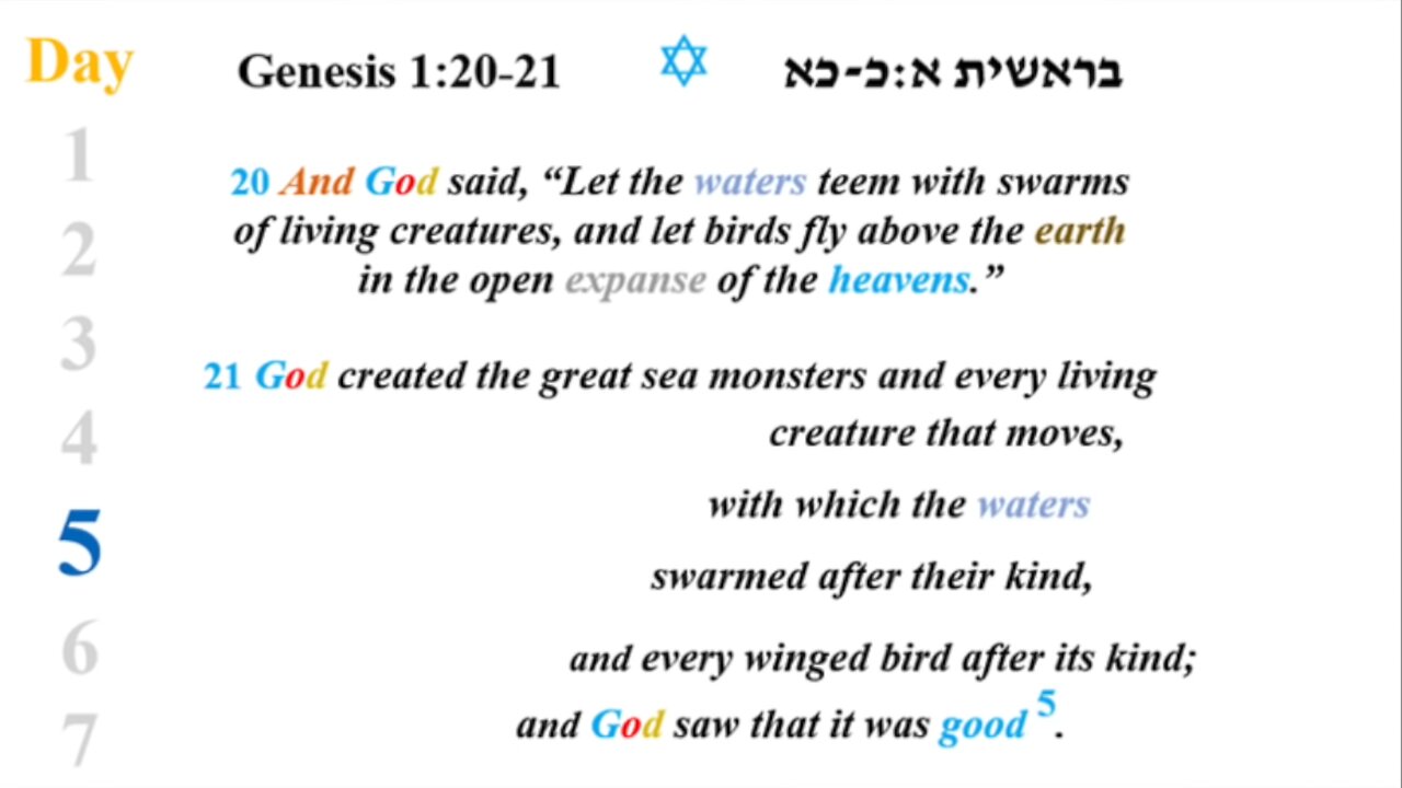 Creator Week days 5,6 & 7