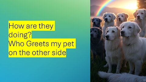 Who Meets and Greets your Fur Babies on the Other side
