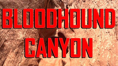 Bloodhound Canyon (North Wash, UT) 2025
