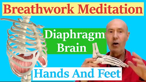 Full Body Breathing - Breathwork Meditation With The Brain, Diaphragm, And The Hands, And Feet.