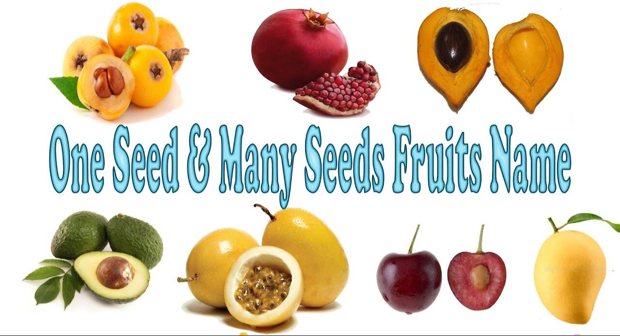 What is the "Fruit of the Womb"