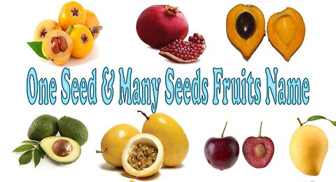 What is the "Fruit of the Womb"