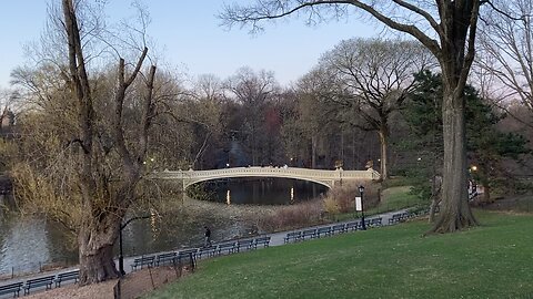 Walking Manhattan: Early Cherry & Plum Blooms (Central Park)
