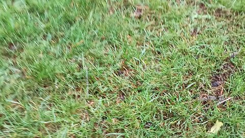 Gutter safety is renter's safety