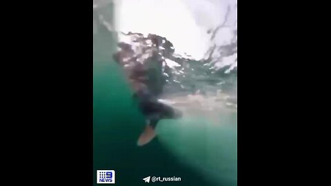 "Australian Windsurfer's Exceptional Experience with a Whale"